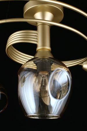 Потолочная люстра Aployt Flor APL.611.07.06