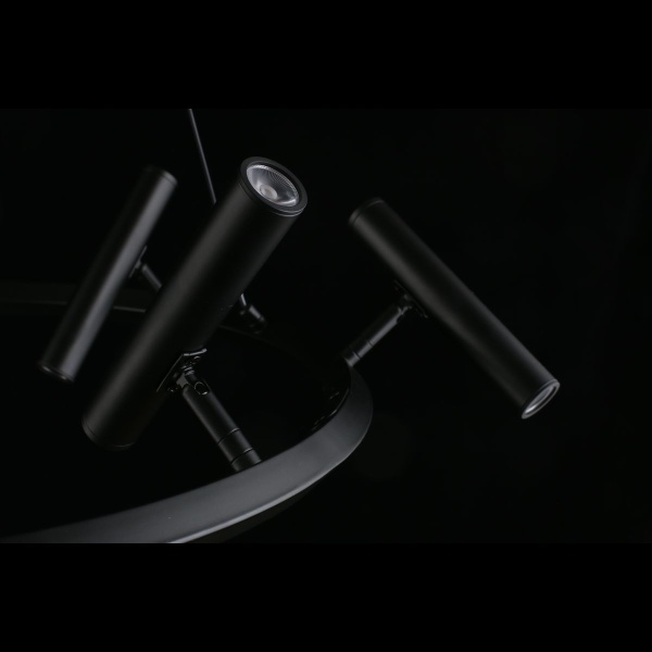 Подвесная светодиодная люстра Aployt Honor APL.067.03.40