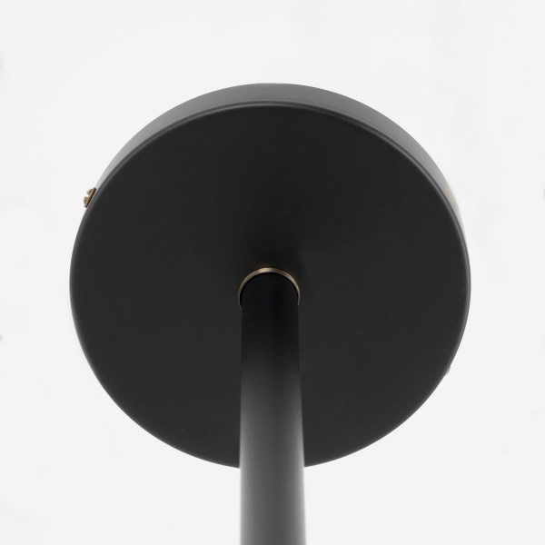 Потолочная люстра Citilux Планета CL105355