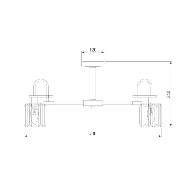 Потолочная люстра Eurosvet Tenia 70090/8 черный