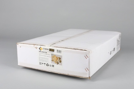 Настенный светильник Omnilux Bellona OML-85501-05