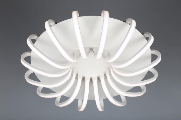 Потолочная светодиодная люстра Omnilux OML-48107-112