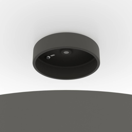 Потолочный светильник Eglo Duaia 901745