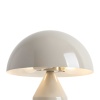 Настольная лампа Freya Modern Eleon FR5218TL-02CR
