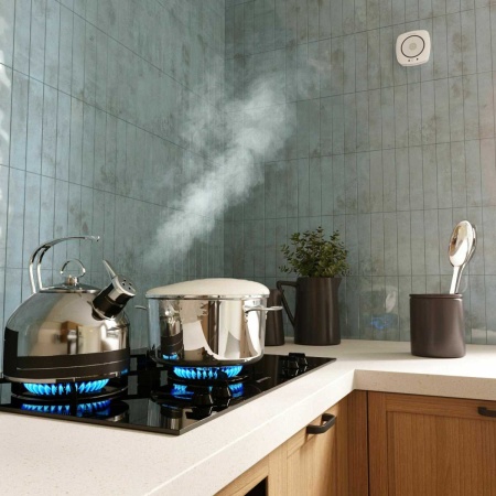 Датчик газа Wi-Fi Elektrostandard (Умный дом) 76250/00 a060341