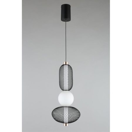 Подвесной светодиодный светильник Aployt Nikusia APL.658.06.13