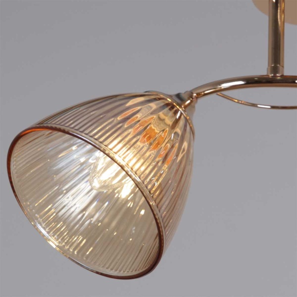 Потолочная люстра Reluce 02560-0.3-02 FG