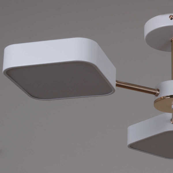 Светильник потолочный Reluce 03360-0.3-05 WH+FGD