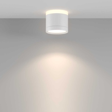 Потолочный светильник Maytoni Technical C120CL-GX53-W