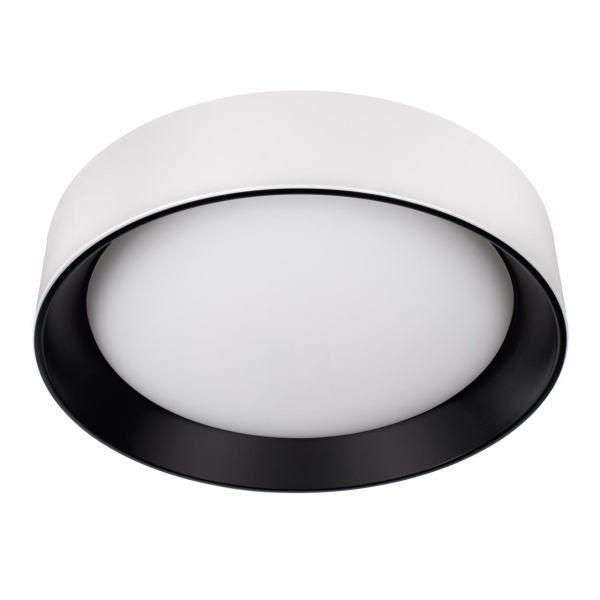 Потолочный светильник Loft it Coin 10202 WB