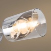 Потолочная люстра Freya Двойной / Dual FR5226PL-06W