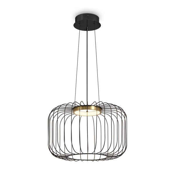 Подвесной светодиодный светильник Freya Citrus FR5398PL-L8B