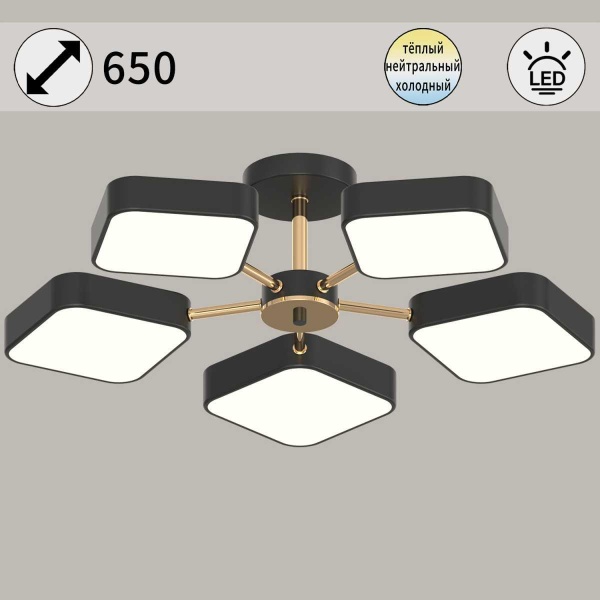 Светильник потолочный Reluce 03360-0.3-05 BK+FGD