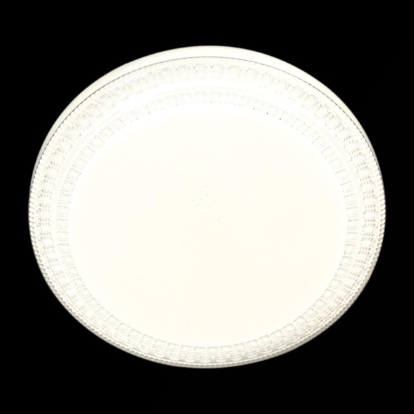 Потолочный светильник Reluce 03518-9.2-24W*2