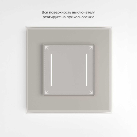 Умный сенсорный выключатель двухклавишный (дымчатый) W4523641/ a069765
