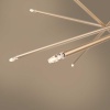 Подвесной светильник Freya Сane FR5337PL-12G