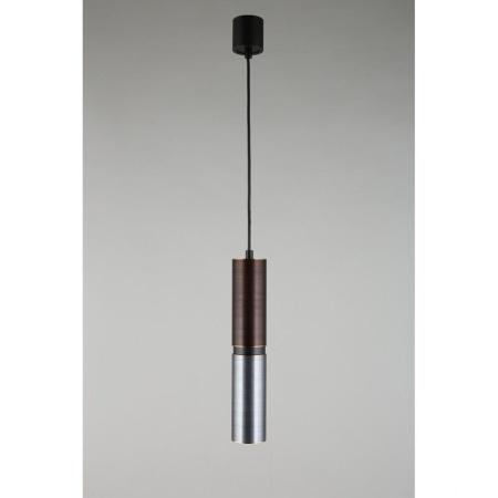 Подвесной светильник Aployt Paula APL.617.16.01