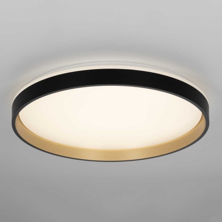 Светильник потолочный Citilux ENZO CL753511G