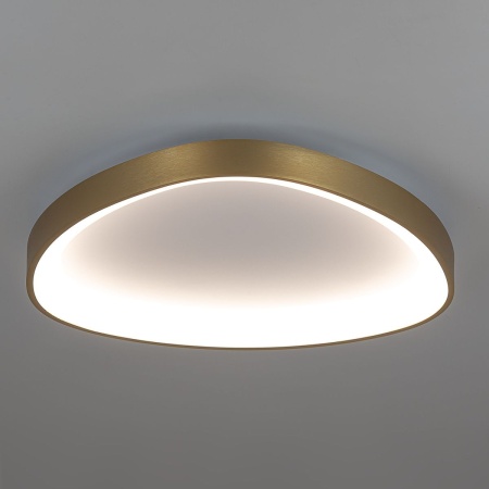 Потолочный светодиодный светильник Citilux Genka Smart CL756A142