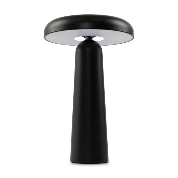 Аккумуляторный светильник Freya FR6109TL-L4B
