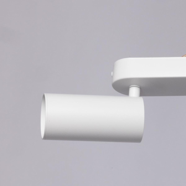 Потолочный светильник De Markt Прайм 850012102