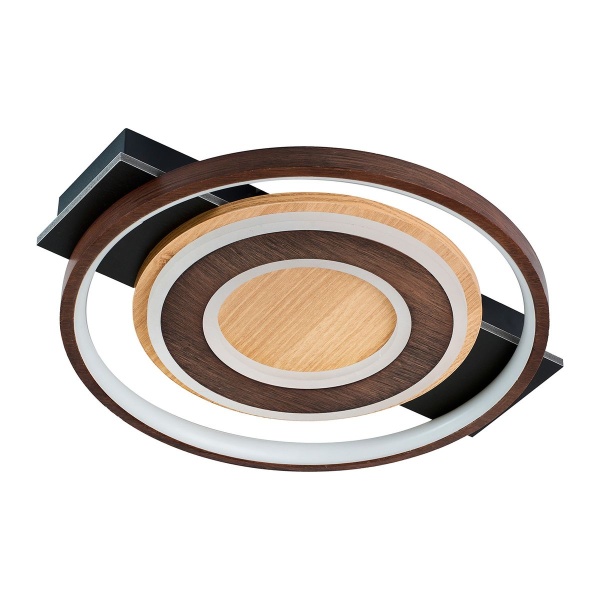 Потолочный светодиодный светильник F-Promo Labrea 4699-1C