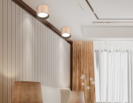 Светильник накладной Ambrella Light TN5305