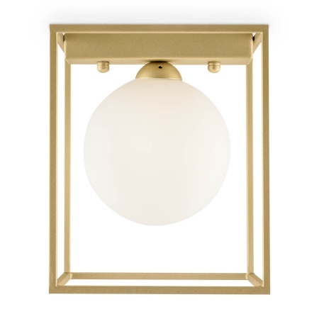 Потолочный светильник Freya Trinity FR5113CL-01G