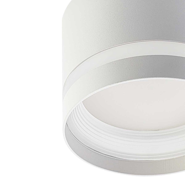 Потолочный светильник Citilux Hardy CL002C10