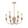 Подвесная люстра ST Luce Elegra SL1402.253.06