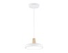 Светильник подвесной Ambrella light COMFORT FL4838