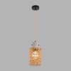 Подвесной светильник Lumion Boho Eco 8366/1A
