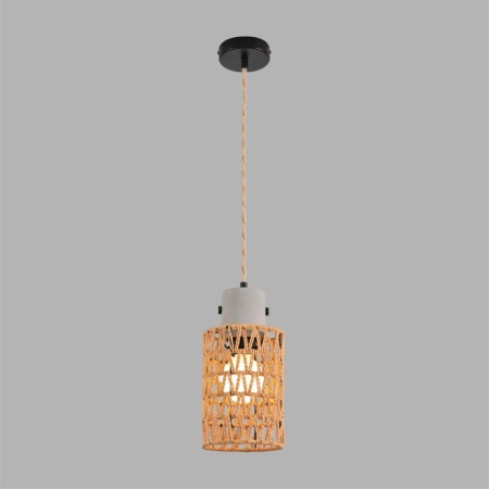 Подвесной светильник Lumion Boho Eco 8366/1A