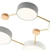 Потолочный светильник Evoluce DOSSENA SLE600102-08