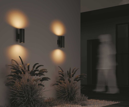 Настенный светильник Maytoni Outdoor O419WL-02B