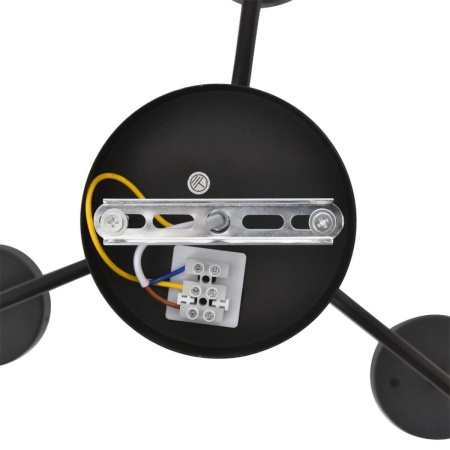 Люстра Lumion NATALINA 8349/6C