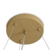 Подвесная люстра Freya Modern Bless FR5567PL-06G