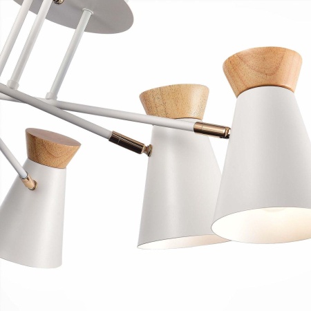 Потолочная люстра Evoluce Alfeo SLE1252-502-06