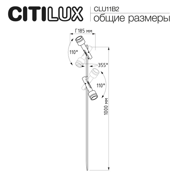 Ландшафтный светильник Citilux Spotter CLU11B2