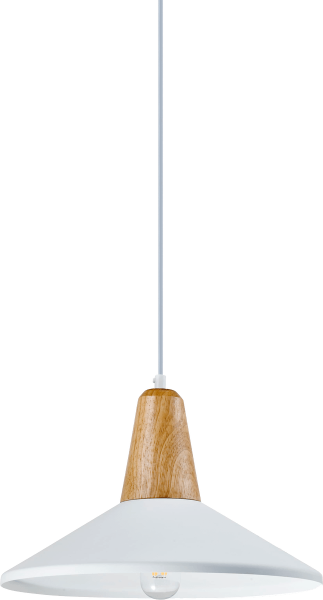 Подвесной светильник Moderli Luce V1571-1P