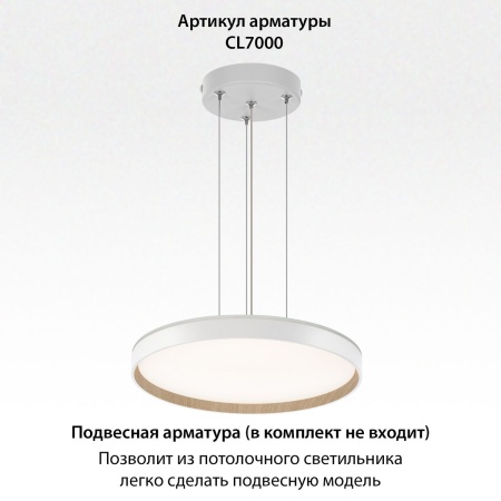 Потолочный светодиодный светильник Citilux Etalon CL750400R