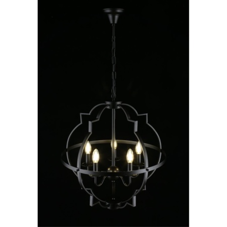 Подвесная люстра Aployt Sharlotta APL.664.13.05