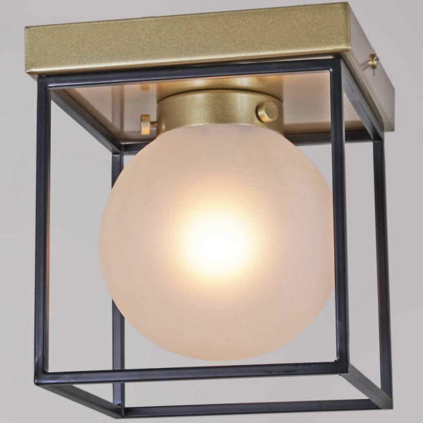 Потолочный светильник ILLUMICO IL0050-1C-79