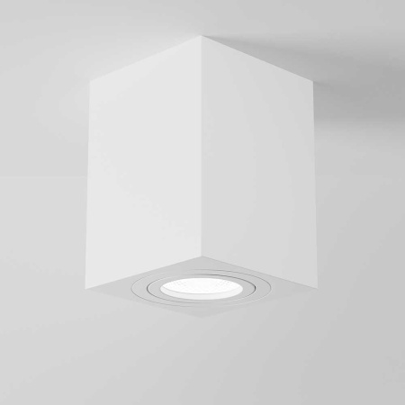 Потолочный светильник Maytoni Alfa C017CL-01W