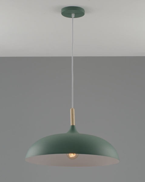 Подвесной светильник Moderli Hygo V11453-1P