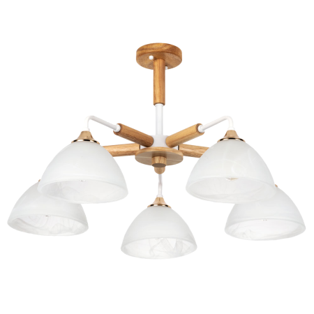 Потолочная люстра Arte Lamp Matthew A5032PL-5BR