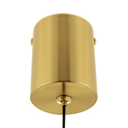 Подвесной светильник Citilux Nort CL475021