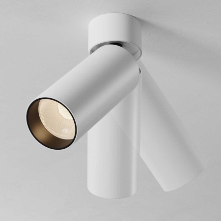 Потолочный светильник Maytoni Technical C055CL-L12W2.7K-SS-W