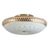 Накладной светильник Toplight Loreen TL1492Y-05GC