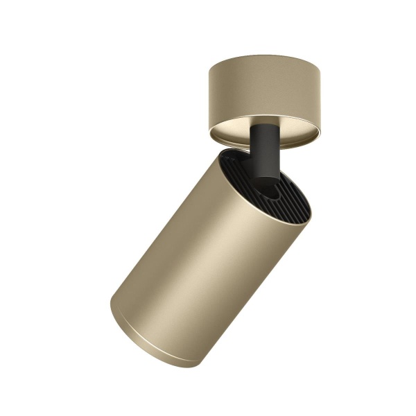 Накладной светильник Denkirs DK2029-GG